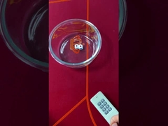 Скрытый код ртуть загруженные кости игры казино загружены 6 боковых костей