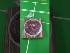 Изменное индукционное устройство для обмана магнитное / немагнитное зарядное набор костей