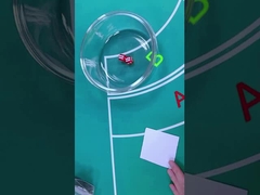 Пластмассовый набор костей 12 / 16 мм игровой игры казино кости с животным принтом